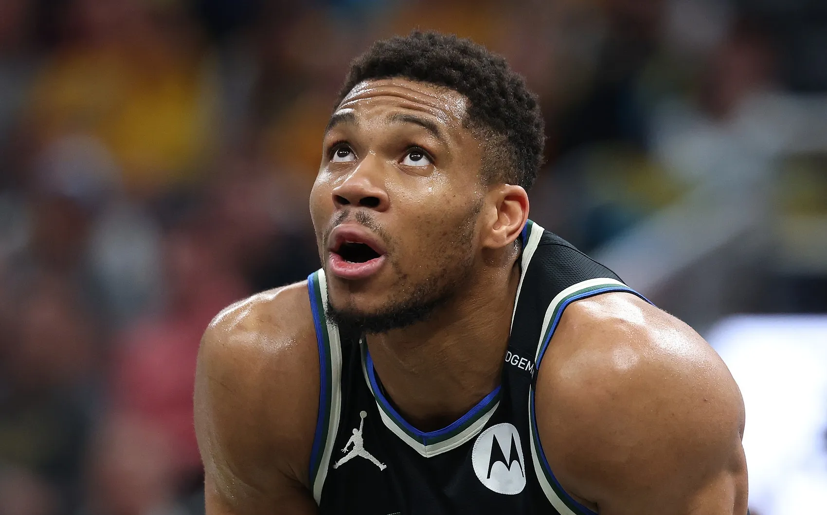 关于字母哥连续十二场比赛得分超过绝杀，公牛挑战极限！的信息